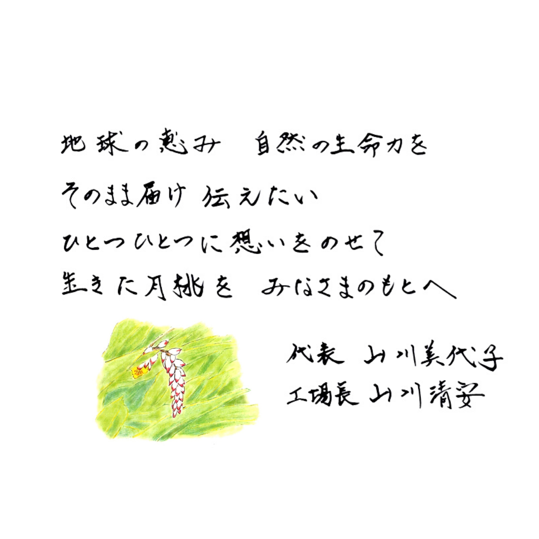 TRUTH Gettou+【月桃美容液】