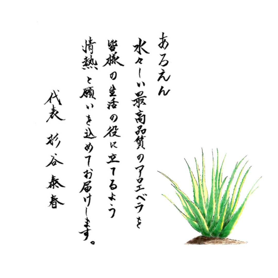 TRUTH Aroe【アロエ化粧水】